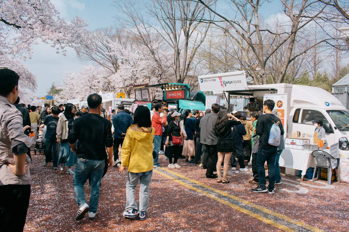 Festival des fleurs de printemps a Yeouido