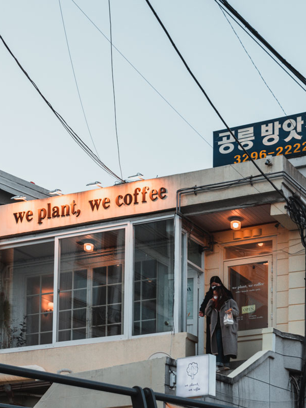 We plant we coffee nowon-gu
