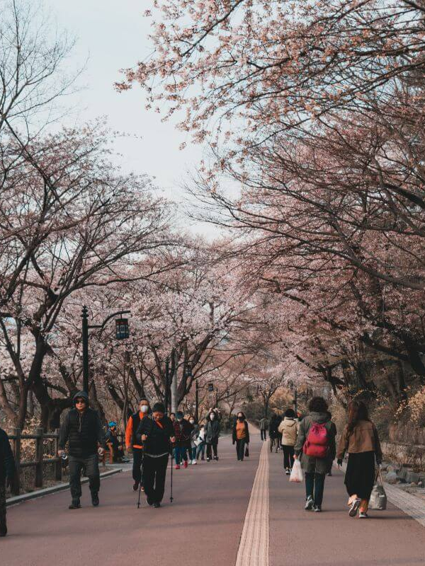 Namsan
