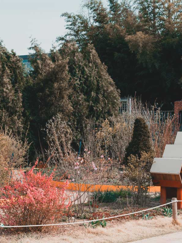Seoul Forest jardin des abeilles