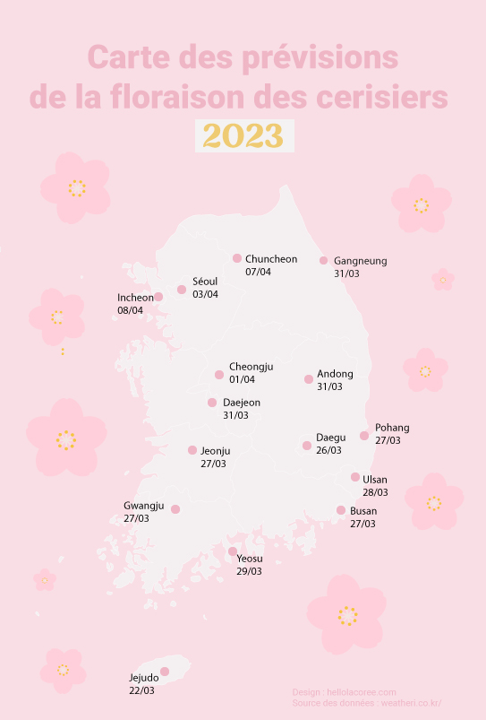 Cerisiers en fleurs Corée du Sud 2023