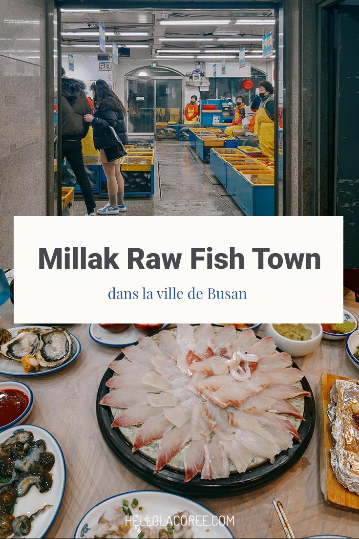 Millak Raw Fish Town, Busan, Corée du Sud