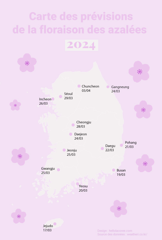 Azalées Corée du Sud 2023
