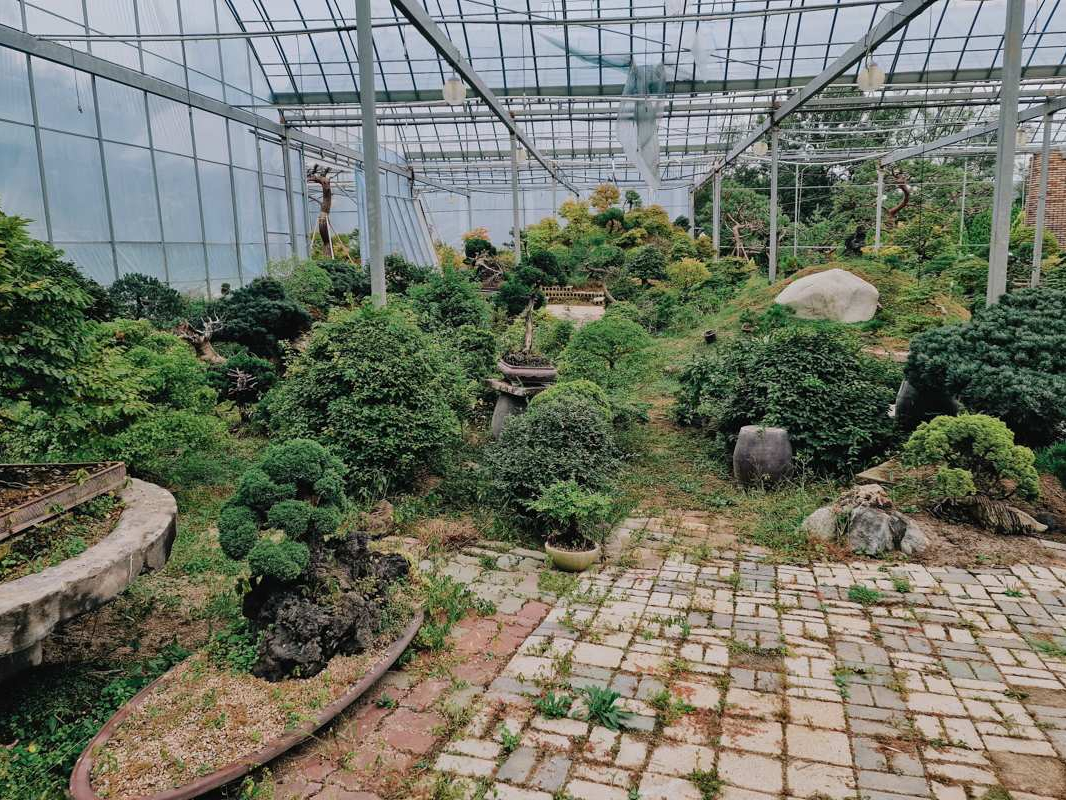 Korea Bonsai Museum