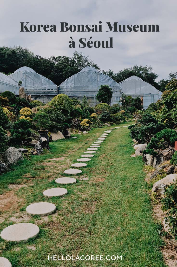 Korea Bonsai Museum