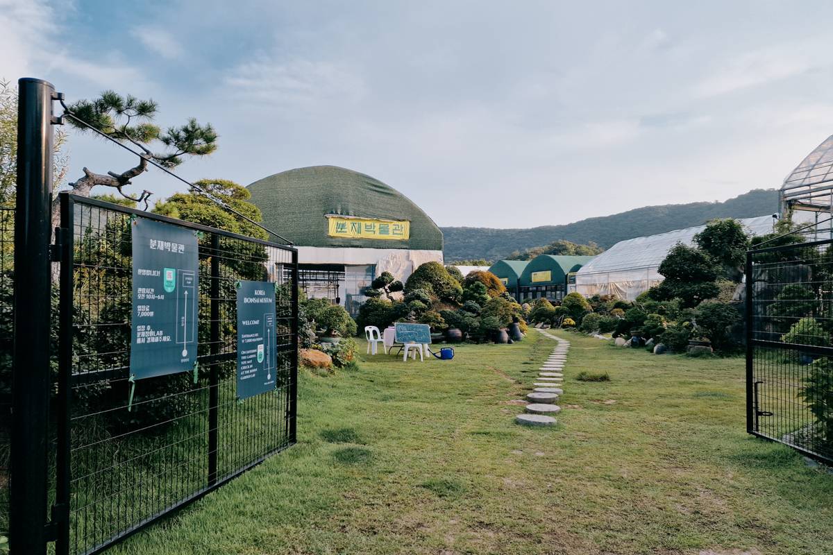 Korea Bonsai Museum : entrée