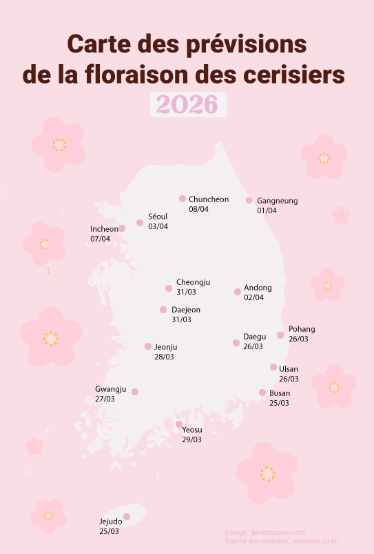 Cerisiers en fleurs Corée du Sud 2026