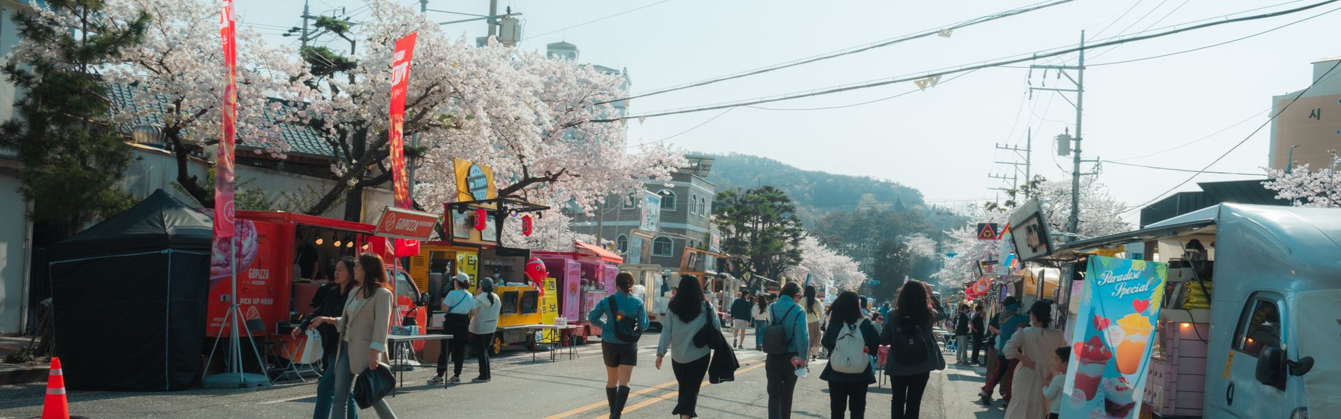 Jinhae Gunhangje Festival