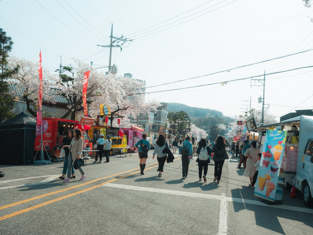 Jinhae Gunhangje Festival