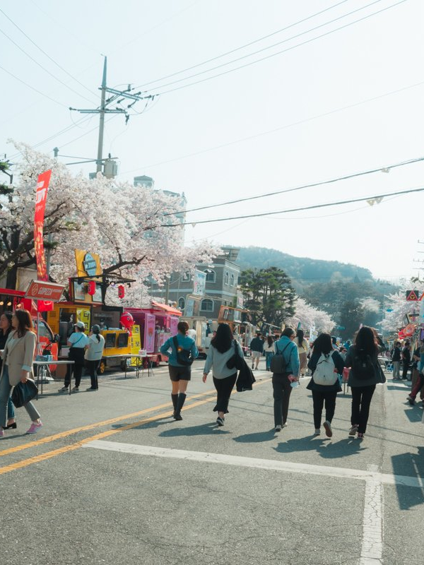 Jinhae Gunhangje Festival