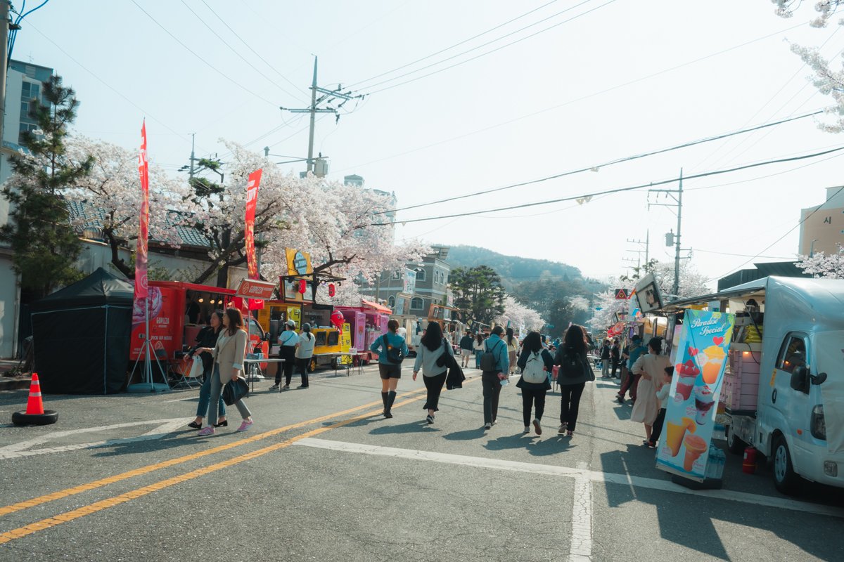 Jinhae Gunhangje Festival