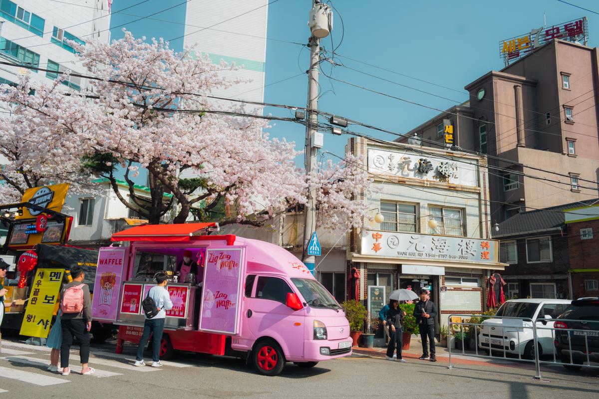 Jinhae Gunhangje Festival