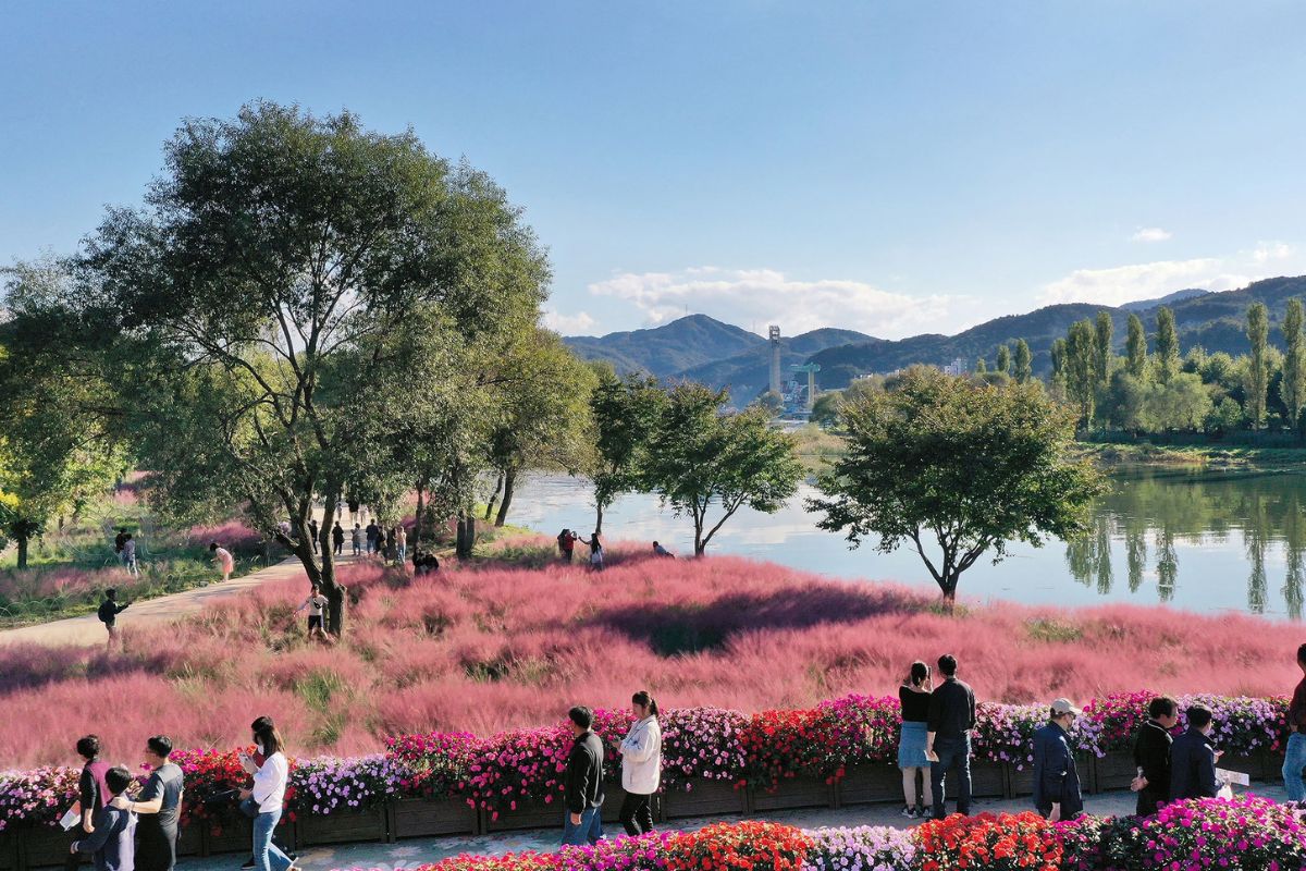 Colorful Garden Jarasum Flower Festa
