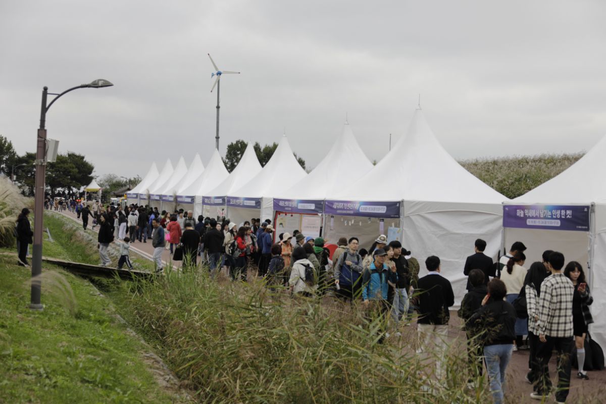 Seoul Silver Grass Festival