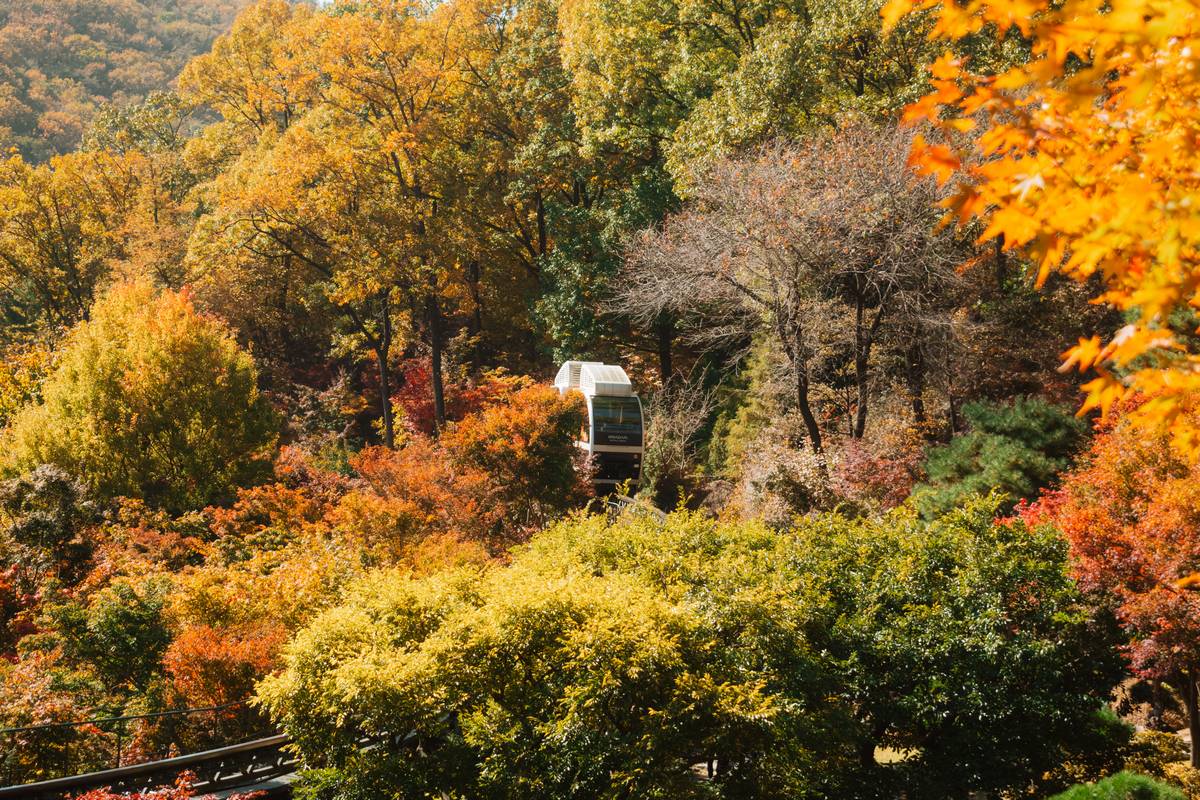 hwadam forest monorail